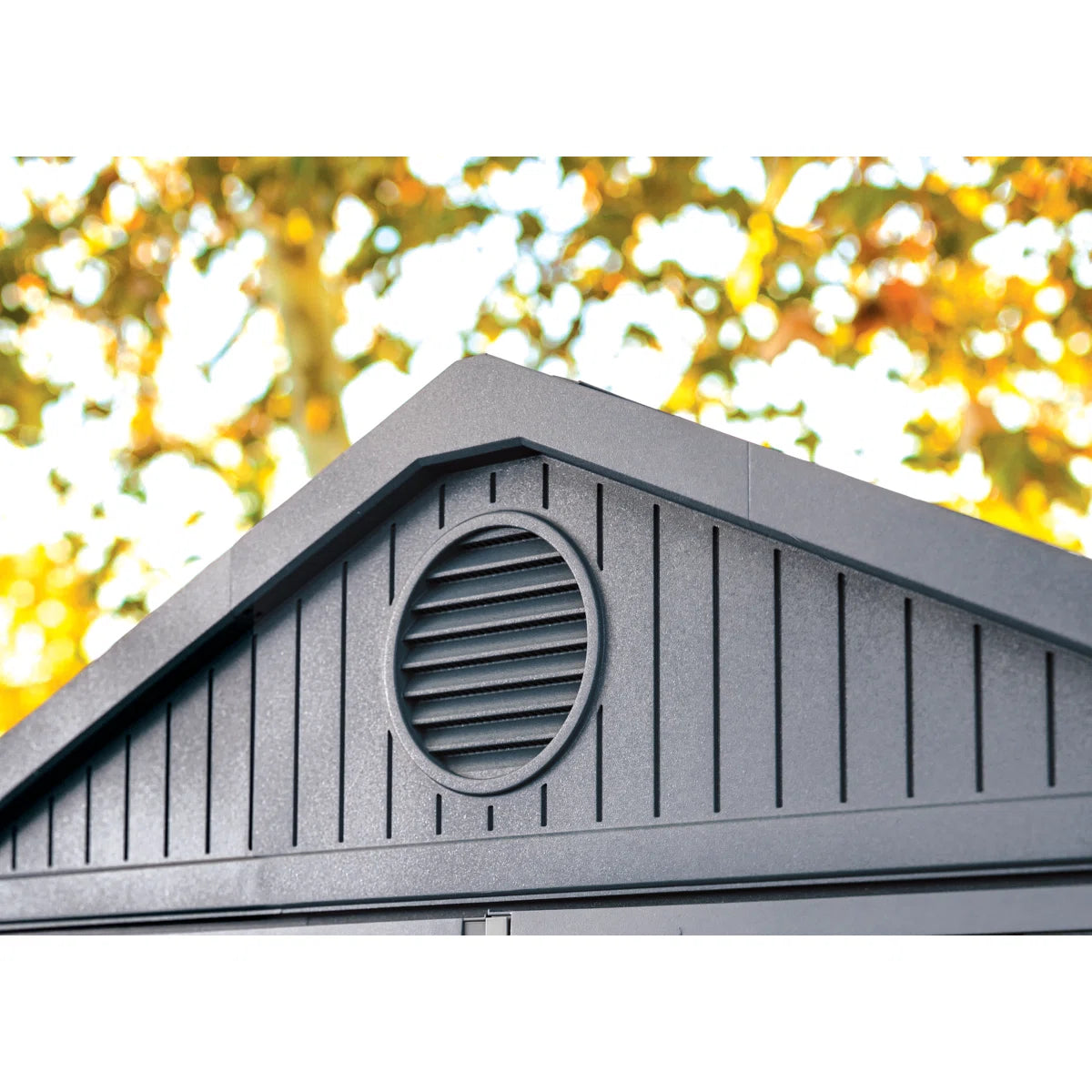Keter Darwin 6x6 ft. Durable Resin Outdoor Storage Shed With Floor and Double Doors for Garden Patio Furniture and Tools, Graphite